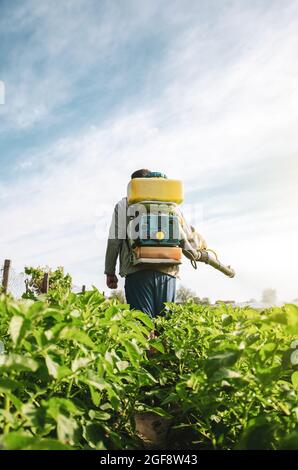 Un coltivatore in un cannone spruzzatore di aria spruzza una piantagione di patate. Nebulizzatore nebulizzatore, fungicida e pesticida. Protezione efficace del raccolto di pl. Coltivati Foto Stock