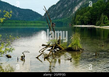 Austria, lago di nome Almsee, un luogo idilliaco nelle Alpi austriache Foto Stock