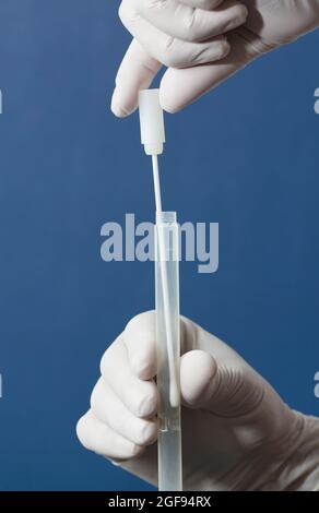 l'infermiere o il medico esegue il test dell'antigene, con sfondo blu Foto Stock