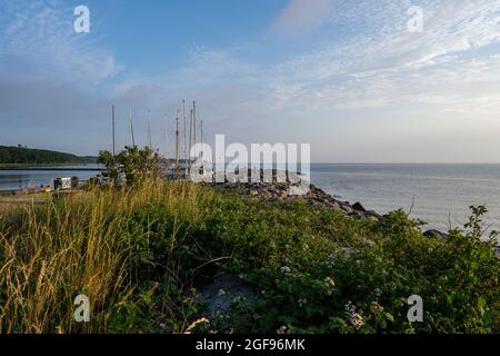 Una rosa rossa al tramonto con il Mar Baltico sullo sfondo. Foto dell'isola svedese Oland Foto Stock