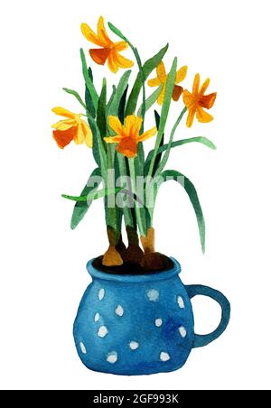 Acquerello pianta di casa disegnata a mano in pentola. Narciso con fiore giallo in vaso blu isolato su sfondo bianco. Design per cartoline, decorazioni, copertine, Foto Stock