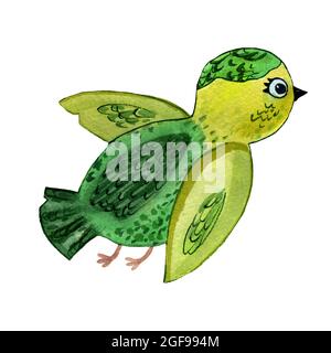 Acquerello illustrazione disegnata a mano di uccello rapina verde isolato su sfondo bianco. Uccello volante in stile cartone animato. Design per copertine, sfondi, Foto Stock