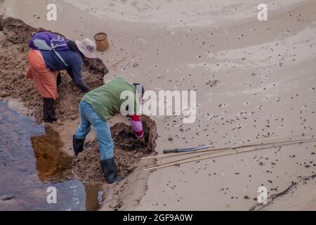 GRAN SABANA, VENEZUELA - 13 AGOSTO 2015: I pescatori indigeni sono alla ricerca di vermi nella regione della Gran Sabana del Venezuela Foto Stock