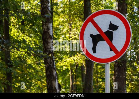 i cani non sono ammessi: cartellino su palo nella foresta estiva del green park - primo piano con messa a fuoco selettiva e sfocatura bokeh sullo sfondo Foto Stock