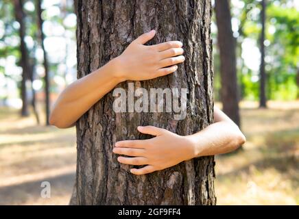 Primo piano delle mani femminili che abbraccia un albero in un parco Foto Stock