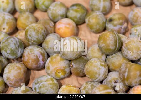 Prugne verdi come sfondo. Foto Stock
