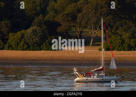 Yacht,ormeggiato,off,spiaggia,Southampton,Isola di Wight,Red Funnel,traghetto,auto, acqua,porto,Hampshire, Foto Stock