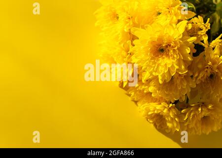 I crisantemi gialli fioriscono vicino - su la disposizione piatta. Sfondo di fiori autunnali in luce solare brillante. Messa a fuoco morbida, vista dall'alto Copia spazio composizione fiore. Foto Stock