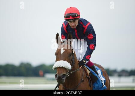 Jockey Oisin Murphy in sella all'inizio di una gara all'ippodromo di York. Foto Stock