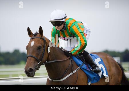 Jockey Hollie Doyle in sella all'inizio di una gara all'ippodromo di York. Foto Stock