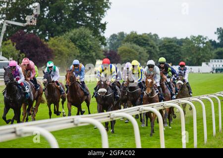 Cavalli e loro scherzi galoppare lungo il rettilineo all'inizio di una gara durante l'Ebor Racing Festival alle corse di York. Foto Stock