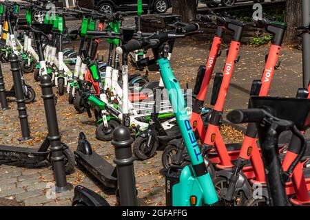 Elektroscooter, e-Roller Stehen a großer Anzahl, an der Street Burgmauer, di fronte alla Cattedrale di Colonia, area parcheggio legale, in parte designato da sig Foto Stock