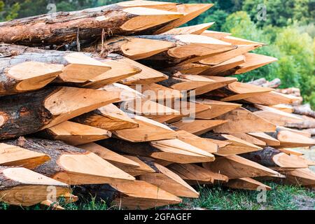 Fotografia di un mucchio di tronchi appuntiti di legno preparati per la chiusura di azienda agricola. La foto è scattata in formato orizzontale. Foto Stock