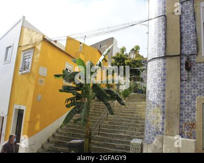 Lisboa, Portogallo. 24 agosto 2021. (INT) Vista di Beco do Allegrete a Lisbona. 24 agosto 2021, Lisbona, Portogallo: Vista da Beco do Allegrete, che ha già vinto il premio per la strada più fiorita di Lisbona, Portogallo, Martedì (24) (Credit Image: © Edson De Souza/TheNEWS2 via ZUMA Press Wire) Foto Stock