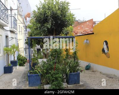 Lisboa, Portogallo. 24 agosto 2021. (INT) Vista di Beco do Allegrete a Lisbona. 24 agosto 2021, Lisbona, Portogallo: Vista da Beco do Allegrete, che ha già vinto il premio per la strada più fiorita di Lisbona, Portogallo, Martedì (24) (Credit Image: © Edson De Souza/TheNEWS2 via ZUMA Press Wire) Foto Stock