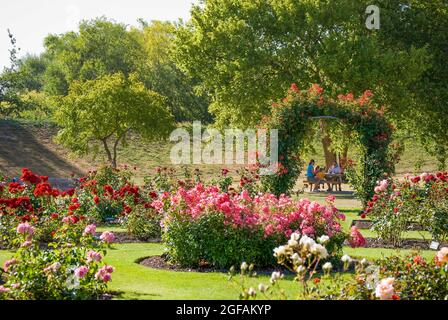 Scott Rose Garden, Trousselot Park, Kaiapoi, Canterbury, Nuova Zelanda Foto Stock