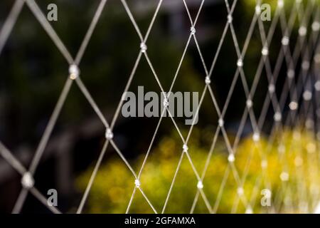 Rete di sicurezza trasparente. Rete di protezione per bambini e animali domestici. Per balcone e finestre. Realizzato con filettature in nylon. Foto Stock