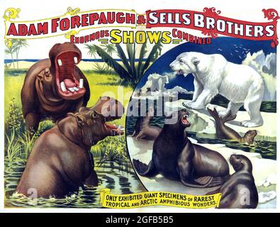 Clicca su Vintage French Circus poster - Adam Forepaugh & Sells Brothers - miglior spettacolo di animali del mondo Foto Stock