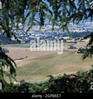 colline coltivate possono essere viste in distanza attraverso rami di albero Foto Stock