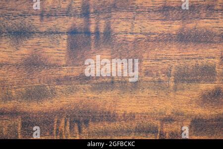 Un frammento di legno marrone scuro con segni di invecchiamento. Sfondo, motivo, trama. Foto Stock