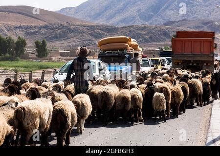 Ingorghi pesanti dovuti ad un gregge di capre sul ponte Fahlian, strada 86 vicino Nourabad, provincia di Fars, Iran, Persia, Asia occidentale, Asia Foto Stock