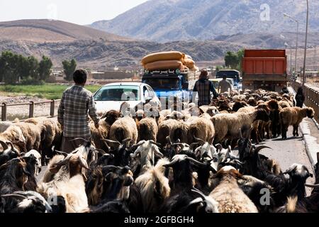 Ingorghi pesanti dovuti ad un gregge di capre sul ponte Fahlian, strada 86 vicino Nourabad, provincia di Fars, Iran, Persia, Asia occidentale, Asia Foto Stock