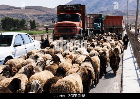 Ingorghi pesanti dovuti ad un gregge di capre sul ponte Fahlian, strada 86 vicino Nourabad, provincia di Fars, Iran, Persia, Asia occidentale, Asia Foto Stock