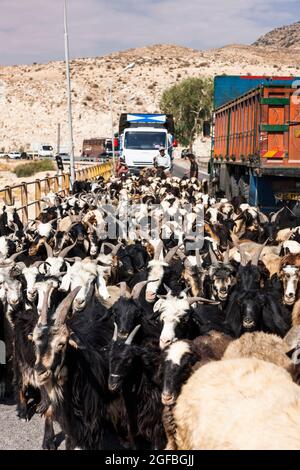 Ingorghi pesanti dovuti ad un gregge di capre sul ponte Fahlian, strada 86 vicino Nourabad, provincia di Fars, Iran, Persia, Asia occidentale, Asia Foto Stock