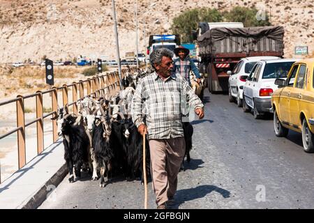 Ingorghi pesanti dovuti ad un gregge di capre sul ponte Fahlian, strada 86 vicino Nourabad, provincia di Fars, Iran, Persia, Asia occidentale, Asia Foto Stock