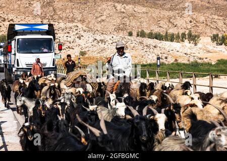 Ingorghi pesanti dovuti ad un gregge di capre sul ponte Fahlian, strada 86 vicino Nourabad, provincia di Fars, Iran, Persia, Asia occidentale, Asia Foto Stock