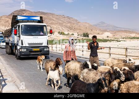 Ingorghi pesanti dovuti ad un gregge di capre sul ponte Fahlian, strada 86 vicino Nourabad, provincia di Fars, Iran, Persia, Asia occidentale, Asia Foto Stock