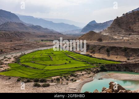 Fiume di maroon e campo di riso nelle montagne di Zagros, strada 63 vicino Kalat, Kohgiluyeh e provincia Boyer-Ahmad, Iran, Persia, Asia occidentale, Asia Foto Stock