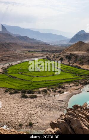 Fiume di maroon e campo di riso nelle montagne di Zagros, strada 63 vicino Kalat, Kohgiluyeh e provincia Boyer-Ahmad, Iran, Persia, Asia occidentale, Asia Foto Stock