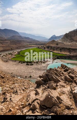 Fiume di maroon e campo di riso nelle montagne di Zagros, strada 63 vicino Kalat, Kohgiluyeh e provincia Boyer-Ahmad, Iran, Persia, Asia occidentale, Asia Foto Stock