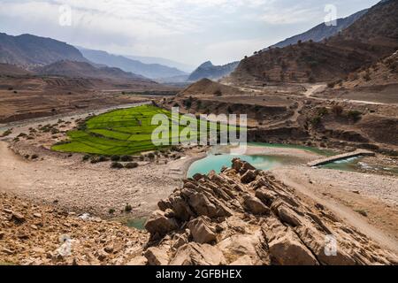 Fiume di maroon e campo di riso nelle montagne di Zagros, strada 63 vicino Kalat, Kohgiluyeh e provincia Boyer-Ahmad, Iran, Persia, Asia occidentale, Asia Foto Stock