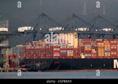 Container Ship MSC Gulsun, ormeggiato al porto di Yantian, Shatoujiao, Guangdong, Cina 24 agosto 2021 Foto Stock