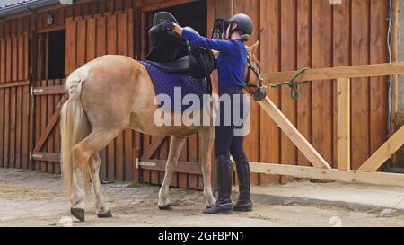 una giovane ragazza di jockey mette una sella su un cavallo calmo vicino al fienile. Foto di alta qualità Foto Stock