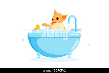 Cane che grooming in una vasca da bagno con anatra di gomma. Chihuahua in schiuma di sapone isolato su sfondo bianco. Illustrazione vettoriale in stile carino cartoon Illustrazione Vettoriale