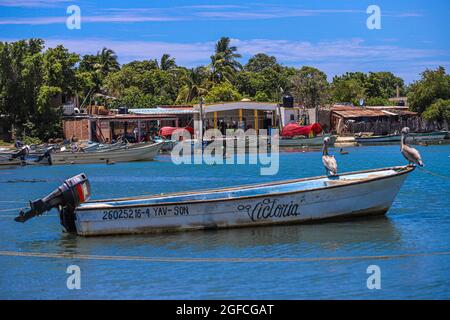 Panga o barca del porto di pesca nel porto di Yavaros. Yavaros-Moroncarit si trova nel comune di Huatabampo sonora Messico. (Foto di Luis Gutierrez / NortePhoto.com) Panga o bote de puerto de pescadores en el puerto Yavaros. Yavaros-Moroncarit se encuentran en el municipio de Huatabampo sonora Messico. (Foto di Luis Gutierrez / NortePhoto.com) Foto Stock