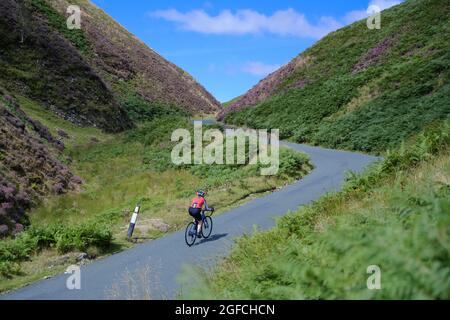 Cinista femminile che si arrampica Boundary Hill nella valle di Bowland, Lancashire, Regno Unito. Foto Stock