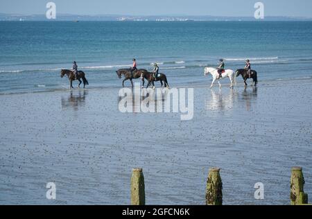 Tempo britannico, 25 agosto 2021: Un gruppo di piloti si avvantaggia del tempo soleggiato e della bassa marea per esercitare i loro cavalli sulla sabbia imballata della spiaggia di East Wittering nel Sussex occidentale. Anna Watson/Alamy Live News Foto Stock