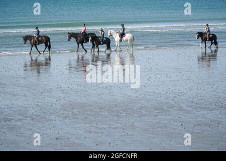 Tempo britannico, 25 agosto 2021: Un gruppo di piloti si avvantaggia del tempo soleggiato e della bassa marea per esercitare i loro cavalli sulla sabbia imballata della spiaggia di East Wittering nel Sussex occidentale. Anna Watson/Alamy Live News Foto Stock