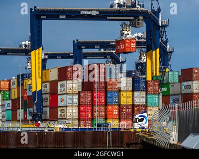 Global Supply Chains - Containers accatastati sul porto di Felixstowe UK. Congestione della catena di fornitura globale. Foto Stock