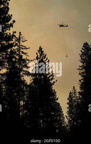 Pollock Pines, Stati Uniti. 23 Agosto 2021. Un elicottero sorvola il fuoco di Caldor. Il fuoco di Caldor è cresciuto fino a oltre 122,000 ettari e minaccia di crescere fino al bacino di Tahoe. (Foto di Ty o'Neil/SOPA Images/Sipa USA) Credit: Sipa USA/Alamy Live News Foto Stock