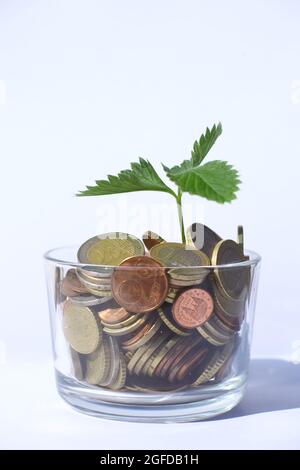 Pianta che cresce da monete in euro Foto Stock