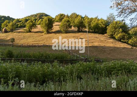 Vista di un pascolo di montagna con tradizionale hayrick per l'inverno, foresta e un orto vicino al villaggio di Vasilyovo, Bulgaria Foto Stock