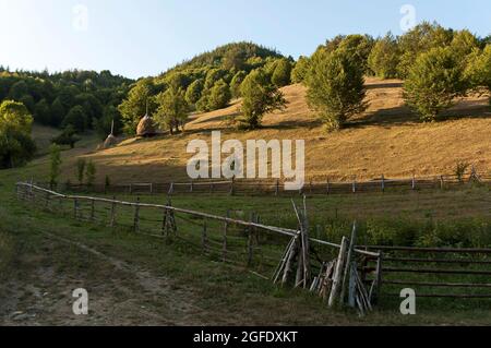 Vista di un pascolo di montagna con tradizionale hayrick per l'inverno, foresta e un orto vicino al villaggio di Vasilyovo, Bulgaria Foto Stock