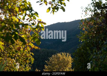 Colline toscane (vista da montagna), Toscana, Italia Foto Stock