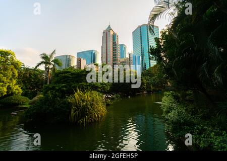 Vista del parco di Kowloon con moderni grattacieli Foto Stock