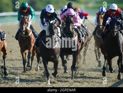 La perfetta sinfonia di Thomas Greatrex (centro) vince la Racing League su Sky Sports Racing handicap all'ippodromo di Lingfield Park. Data foto: Mercoledì 25 agosto 2021. Vedi la storia della Pennsylvania RACING Lingfield. Il credito fotografico dovrebbe essere: Adam Davy/PA filo. RESTRIZIONI: L'uso è soggetto a restrizioni. Solo per uso editoriale, nessun uso commerciale senza previo consenso da parte del titolare dei diritti. Foto Stock